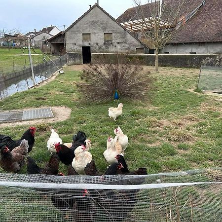 Maison Au Sein D'Une Ferme Villa Rahling Exterior foto