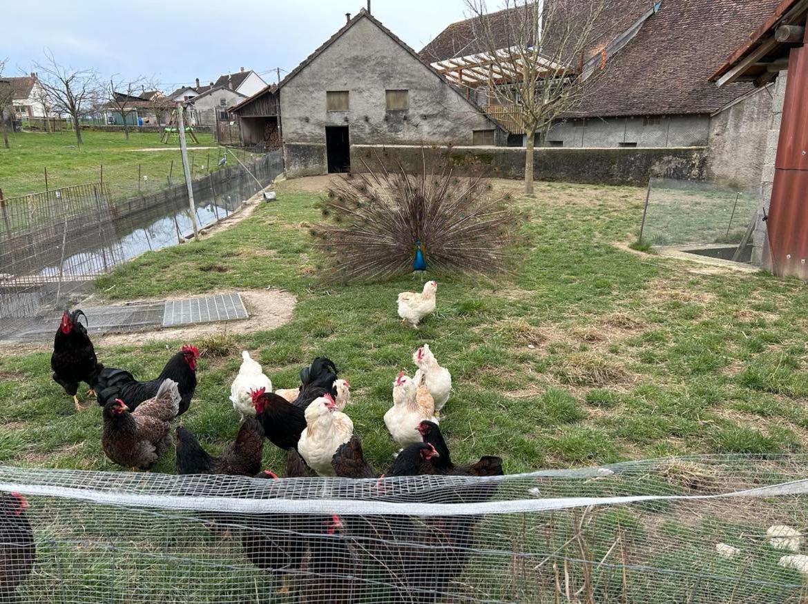 Maison Au Sein D'Une Ferme Villa Rahling Exterior foto