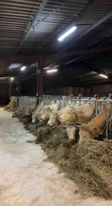 Maison Au Sein D'Une Ferme Villa Rahling Exterior foto