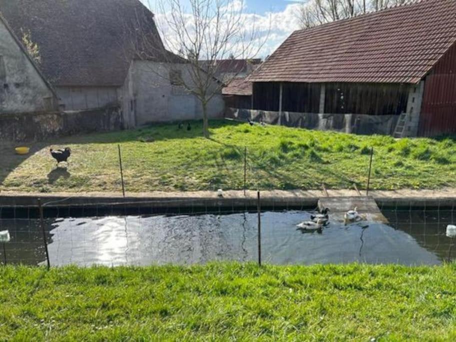 Maison Au Sein D'Une Ferme Villa Rahling Exterior foto